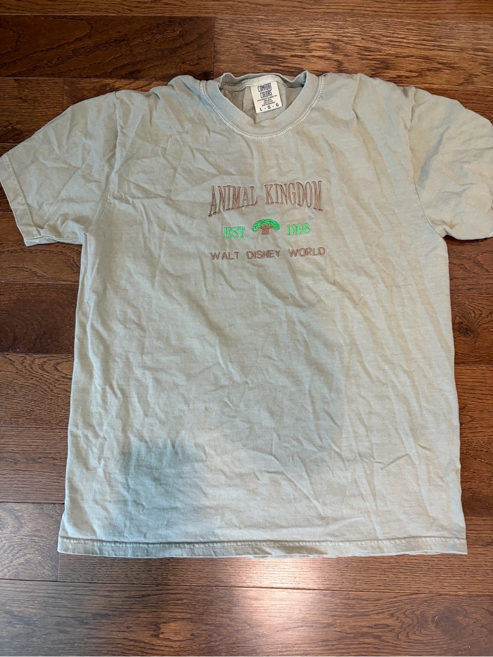 Embroidered Animal Kingdom Walt Disney World Kids Tee - Light Green